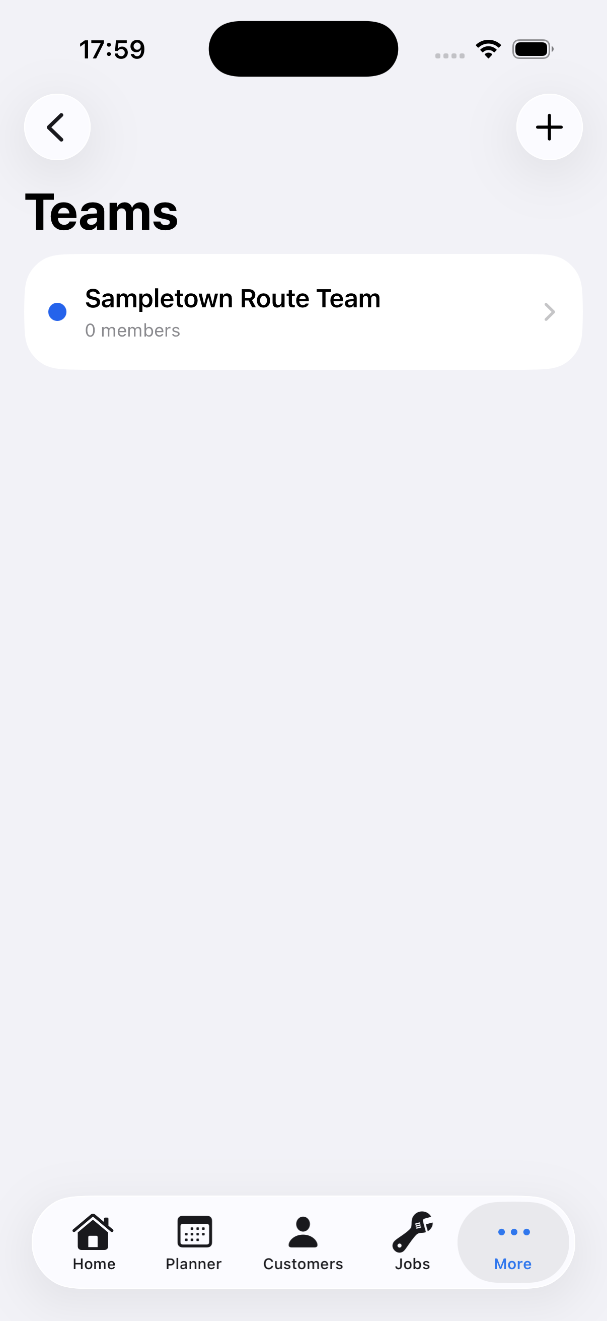 Example data: a fictional route team ready for members in the current Surehand iPhone app